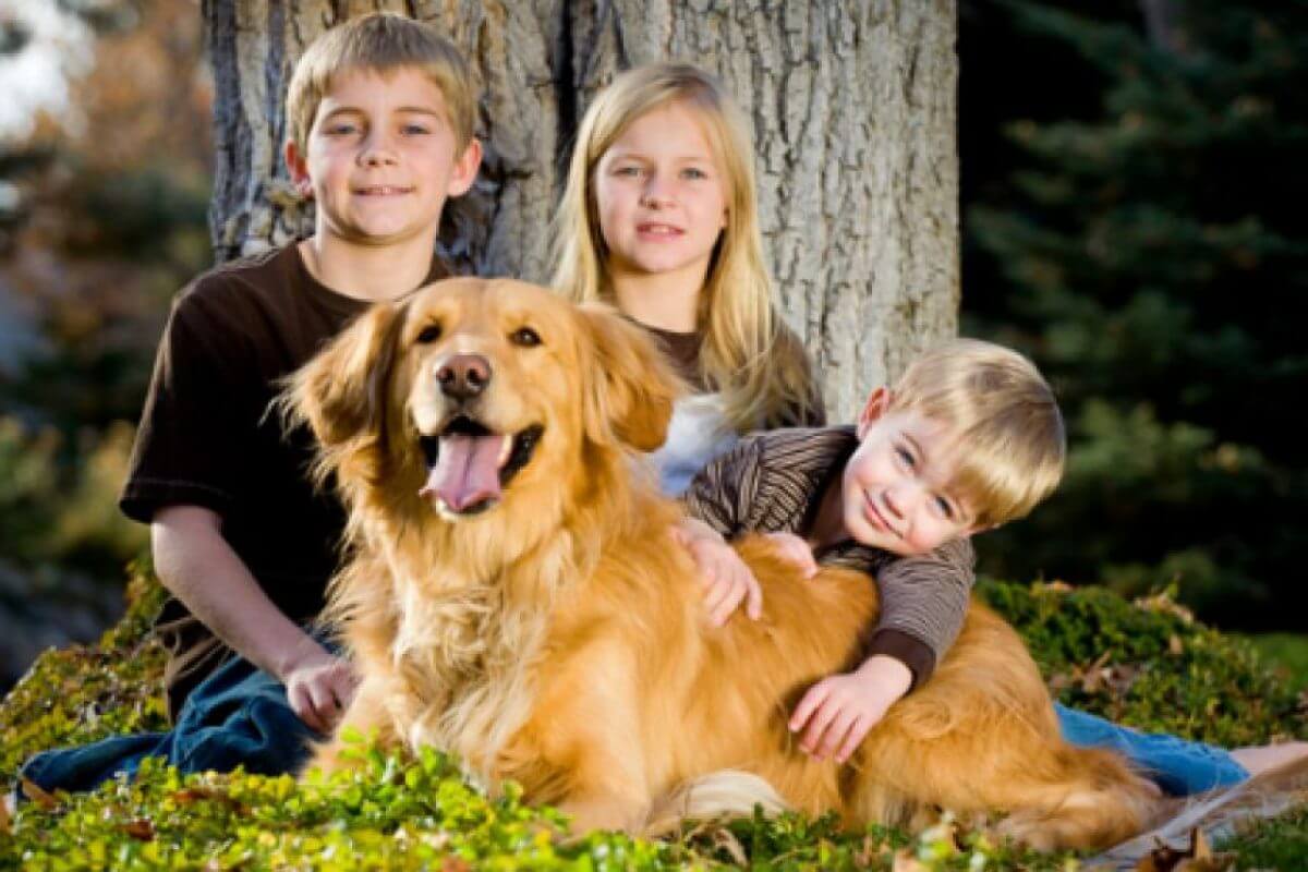 Фото с собакой и детьми фото