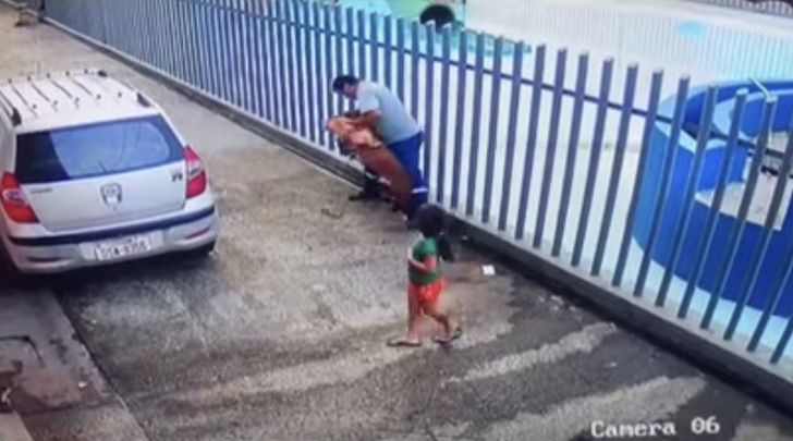 revistapazes.com - Menina coloca o próprio corpo na frente de pit bull violento para salvar seu cachorrinho de ataque