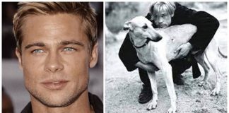 Brad Pitt interrompeu filmagem de clássico para ajudar 13 animais de rua – 3 foram adotados por ele