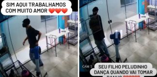 Funcionário de pet shop é “flagrado” dançando com cachorrinha: ‘Amor à primeira vista’ [VIDEO]