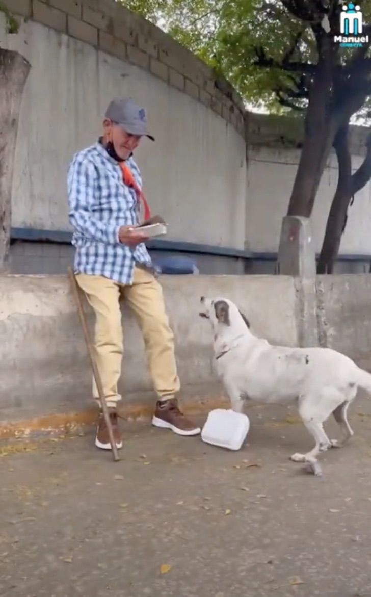 revistapazes.com - “Prefiro viver na rua do que deixar o meu cão”, diz homem que vive como sem-teto há 20 anos