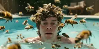 Entenda porque você não pode pular na água para fugir de abelhas