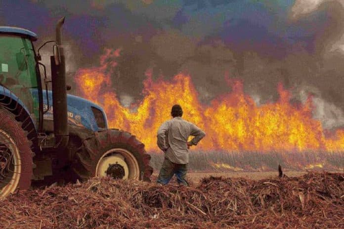 São Paulo em ALERTA MÁXIMO para queimadas: 48 cidades paulistas