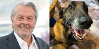 Família de Alain Delon TOMA DECISÃO após ator pedir para seu cachorro ser sacrificado quando ele morresse