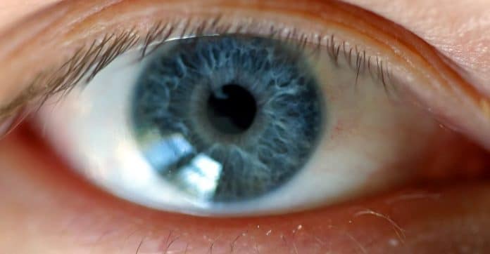 Todas as pessoas de olhos azuis são descendentes de um único ser humano